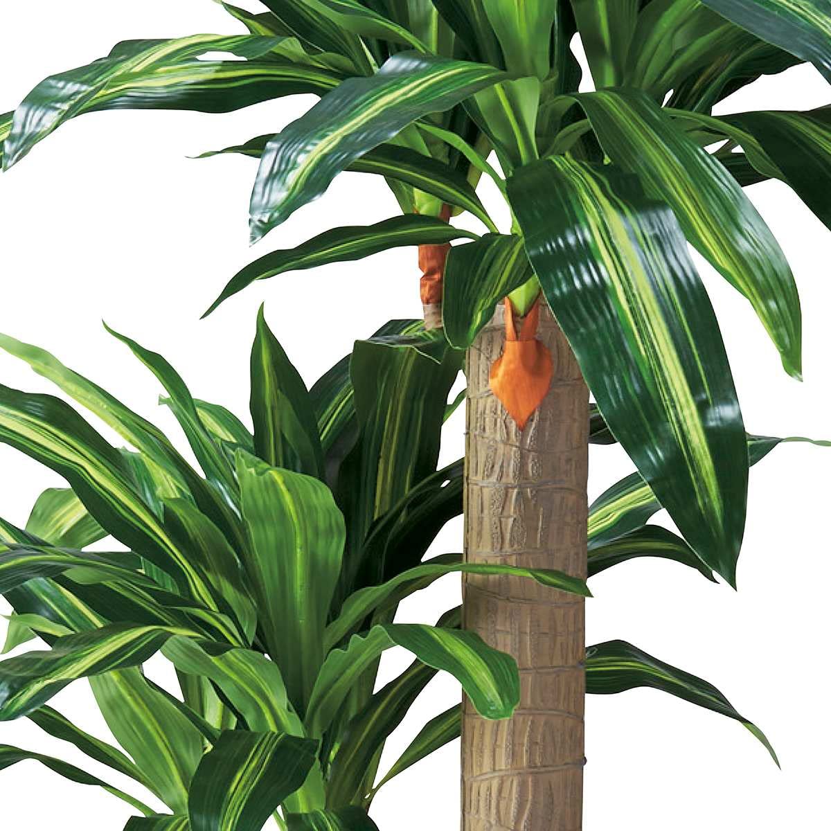 人工観葉植物　 フェイクグリーン 幸福の木 約180cm Amazon | フェイクグリーン 幸福の木 高さ180cm 【 観葉植物 フェイク